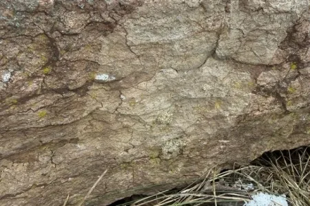 Fotografie čištění laserem ltm